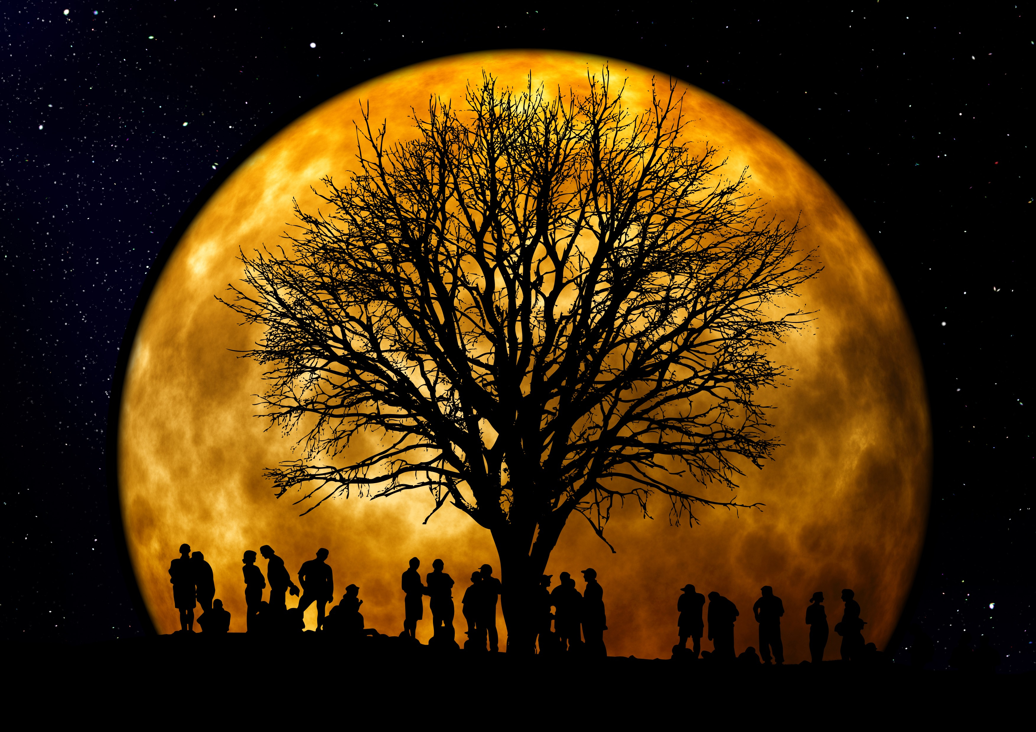 Canva Silhouette of People Standing Neat Tree Under the Moon by Gerd Altmann