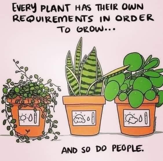 Plants individuals